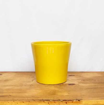 Vaso Senegal amarelo M (L17xA16xP17 cm)