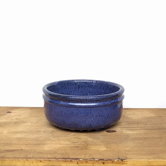 Vaso bonsai azul pacífico nº2 (L23xA10xP23 cm)