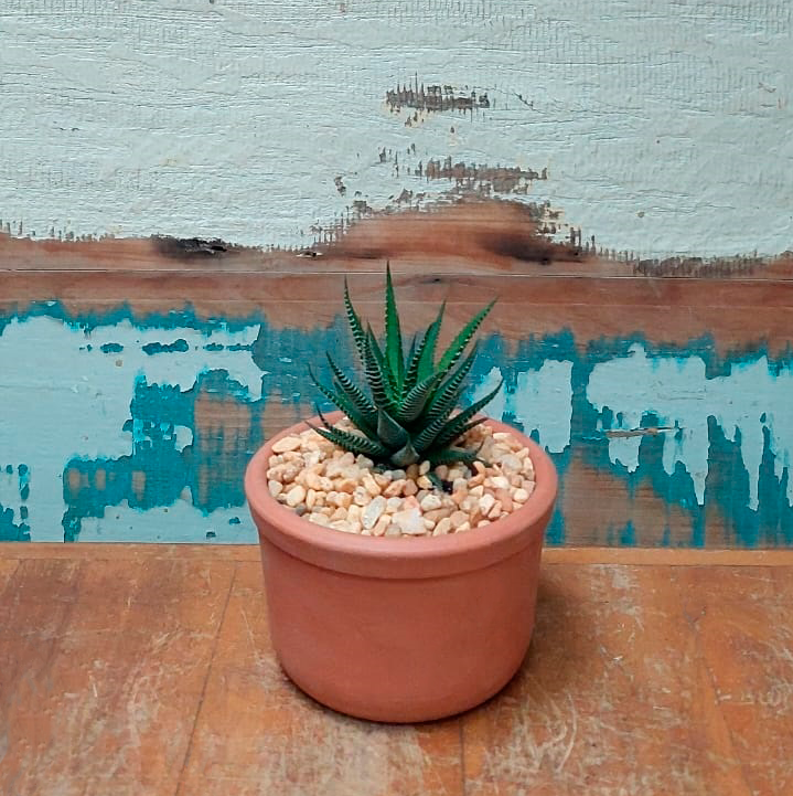 Aloe vaso violeta p