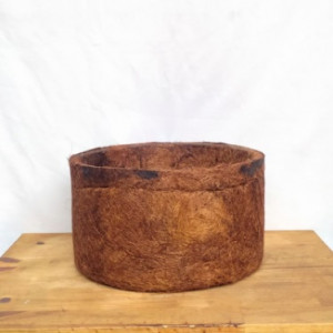 Vaso Coquim pote G (L33xA17xP33 cm)