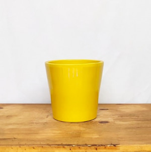 Vaso Senegal amarelo M (L17xA16xP17 cm)