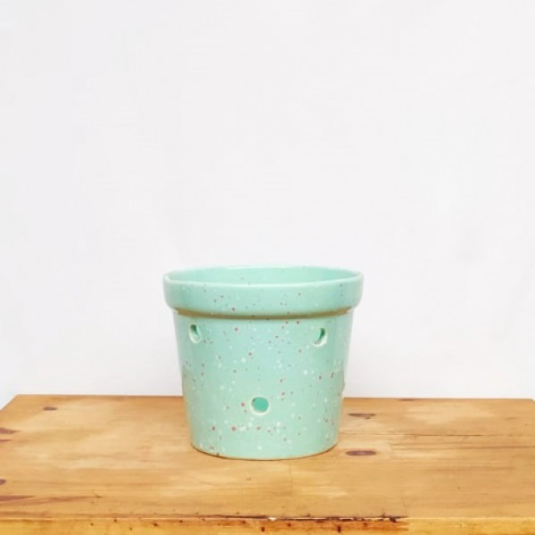 Vaso Orquidea  borda P verde (L17,5xA15xP17,5 cm)