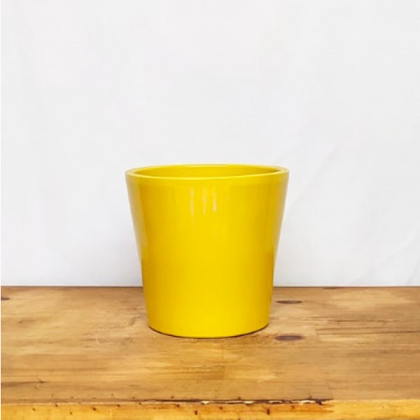 Vaso Senegal amarelo M (L17xA16xP17 cm)