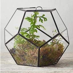 Jardim para área externa antes