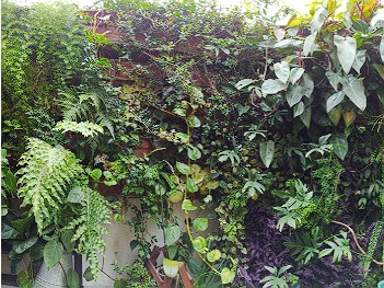 Jardim para área externa