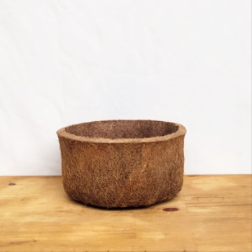 Vaso Coquim pote M (L22xA12xP22 cm)