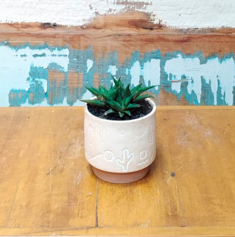 Aloe Vaso cerâmico rupestre mini