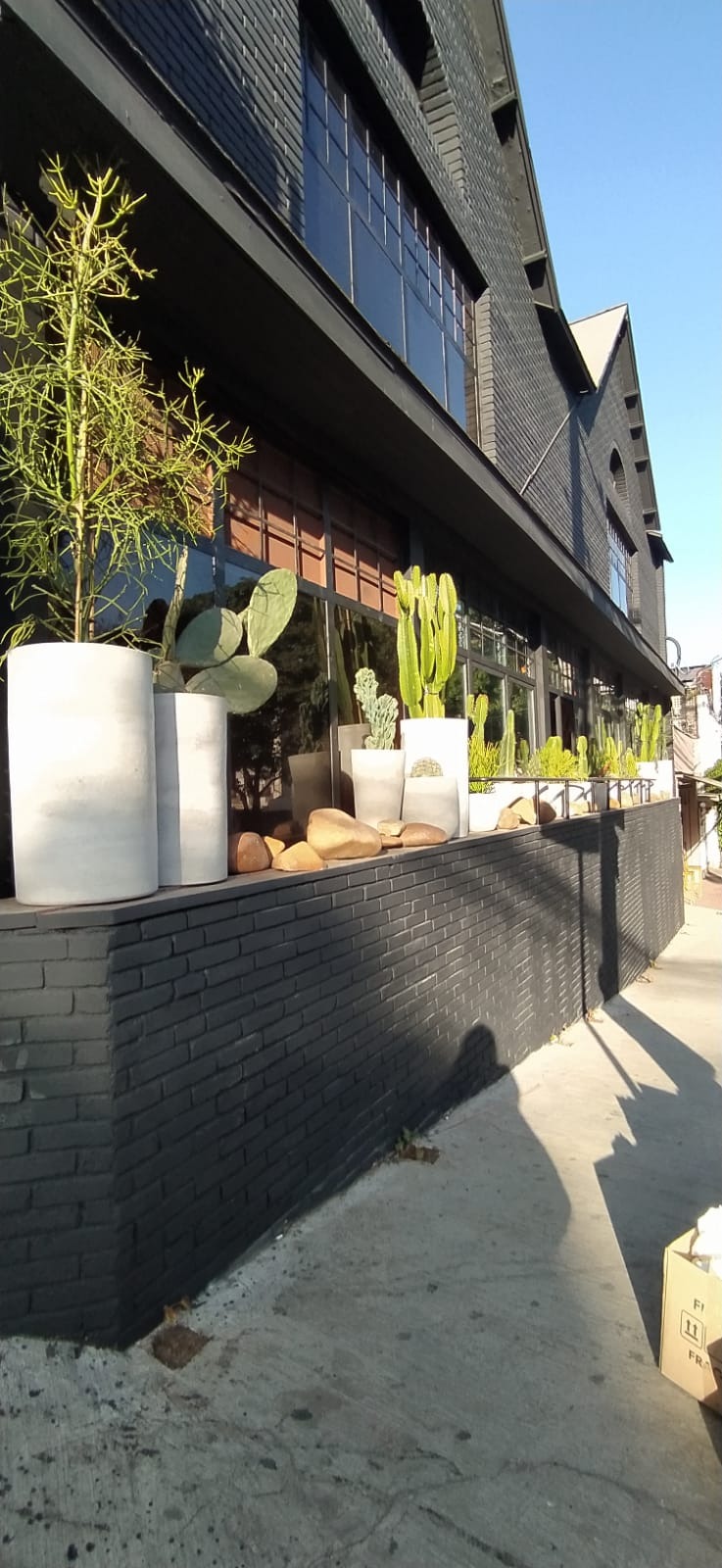 Projeto Restaurante Cão Véio