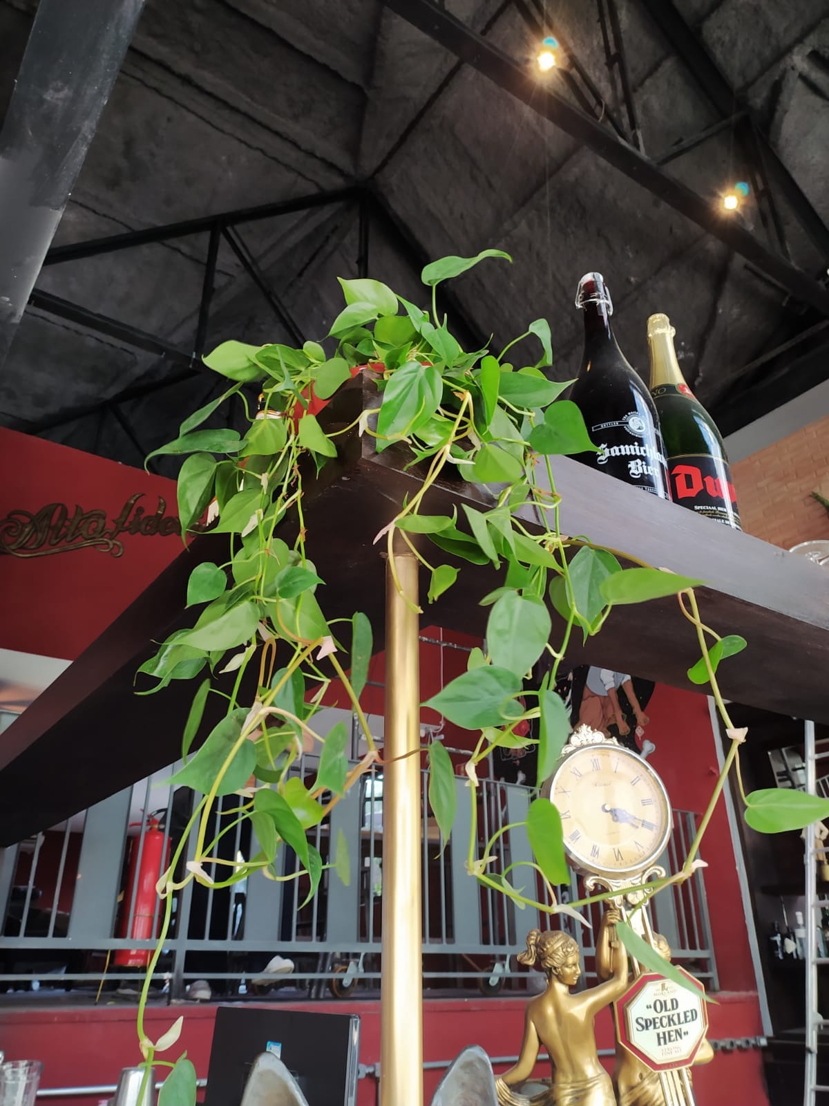 Projeto Restaurante Cão Véio