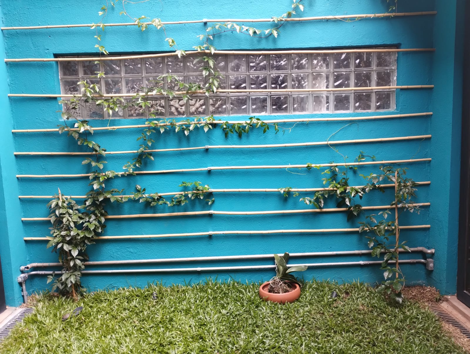 Projeto Palavras Educação
