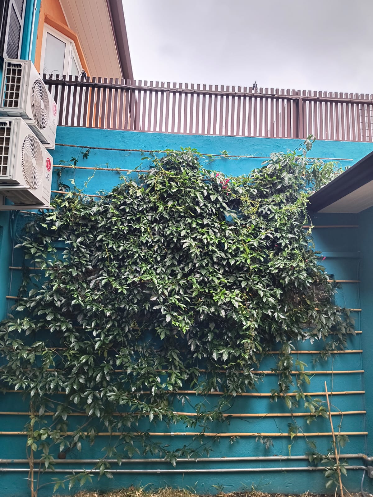 Projeto Palavras Educação depois