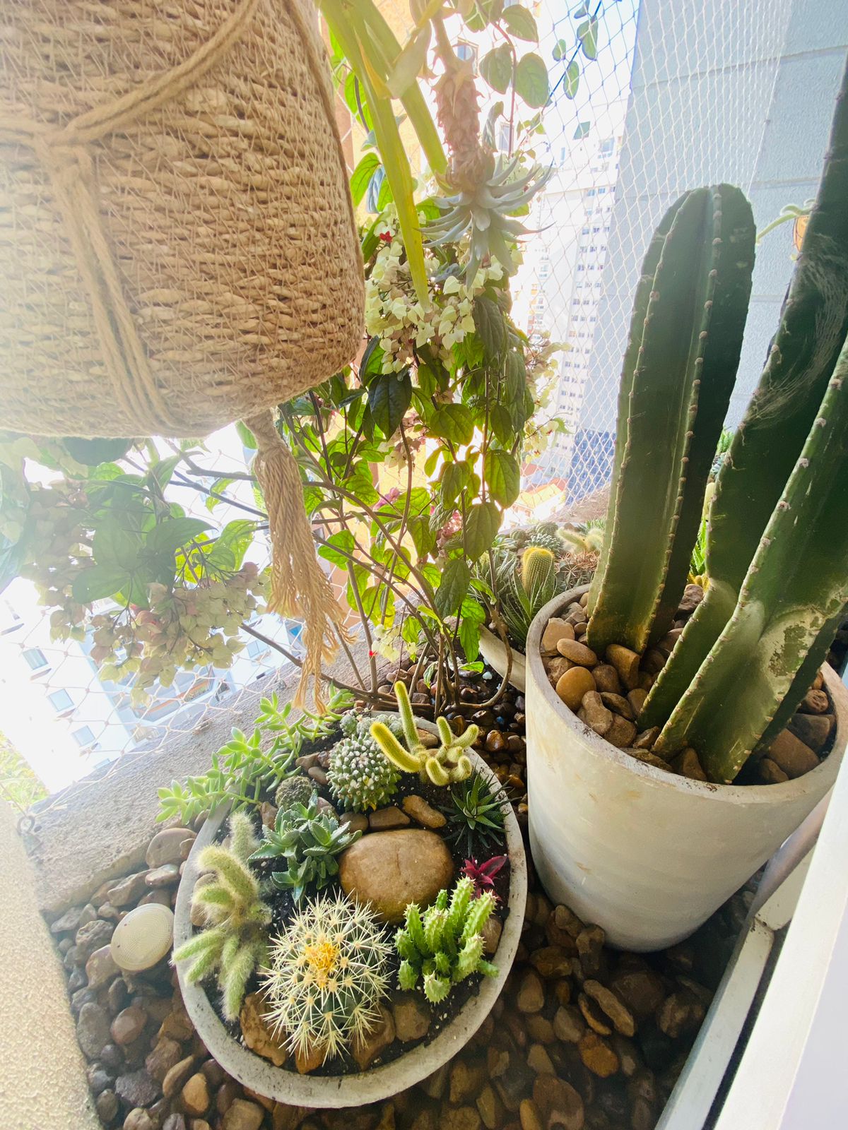 Projeto para jardineira apartamento depois