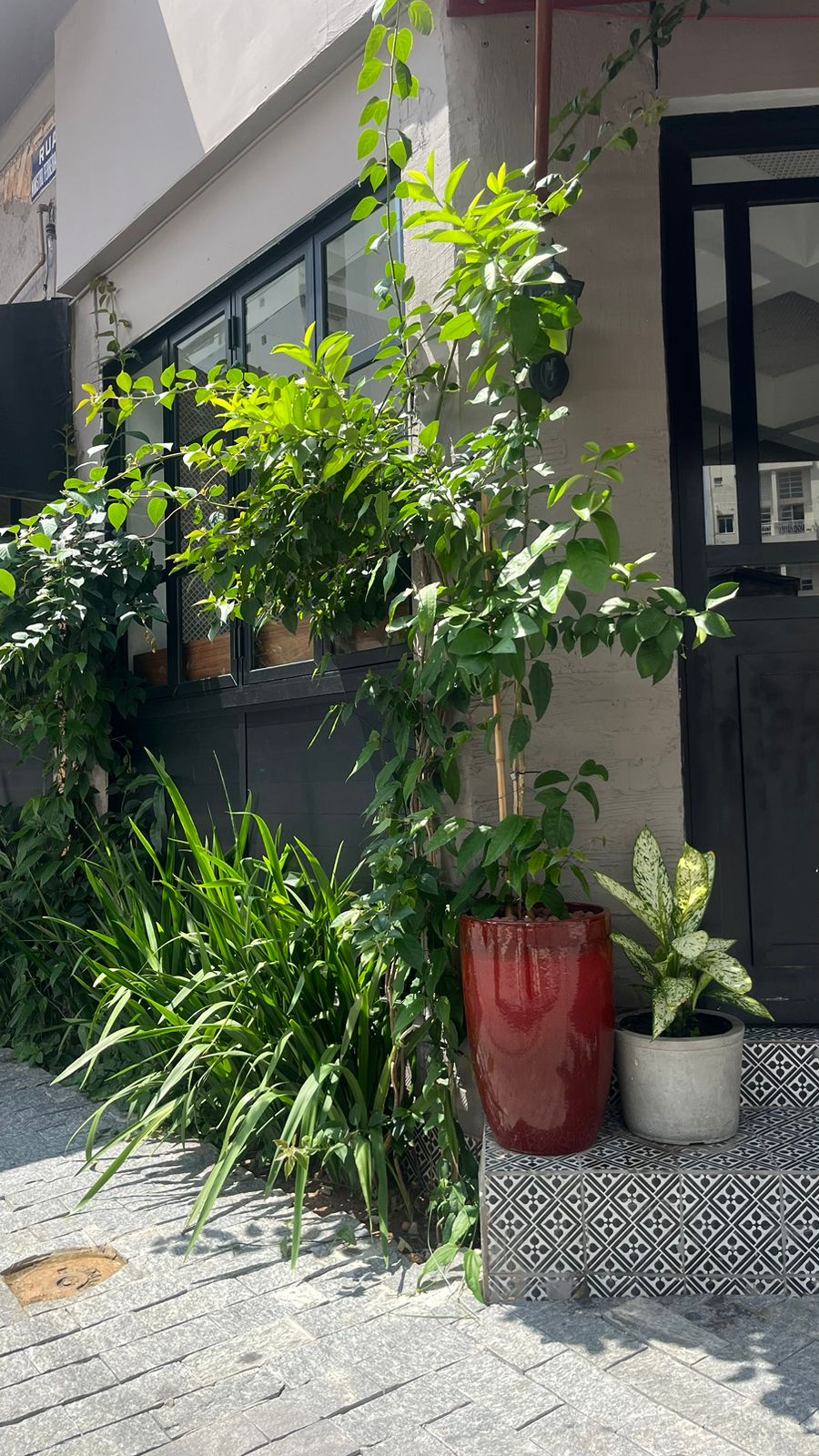 Projeto Restaurante Mantovani antes