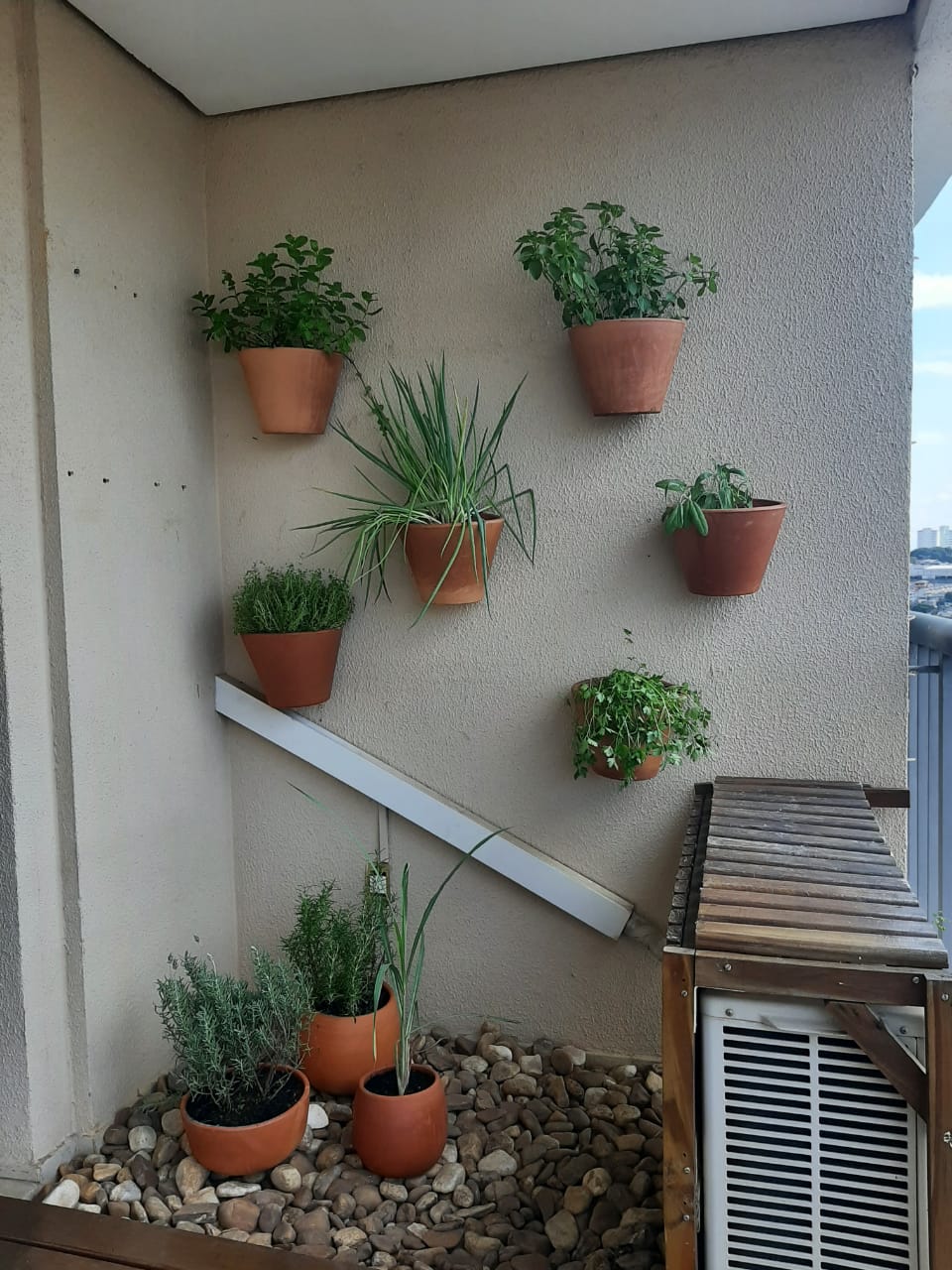 Projeto Horta na Parede depois